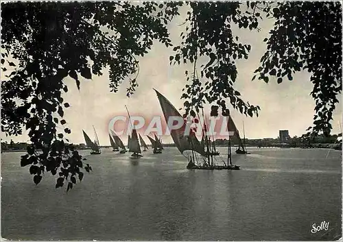 Moderne Karte Cairo Nile View