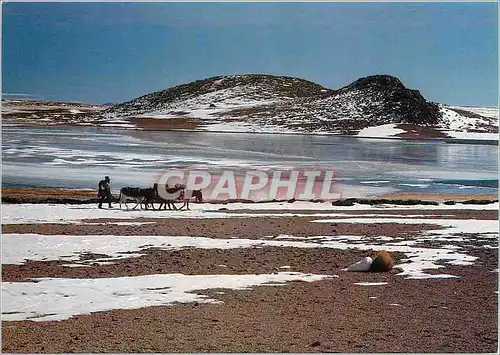 Cartes postales moderne Bolivia Sur Lipez Laguna Tototal