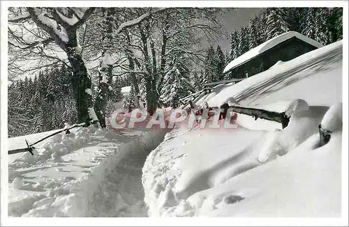 Cartes postales moderne Le chemin de Prafandaz