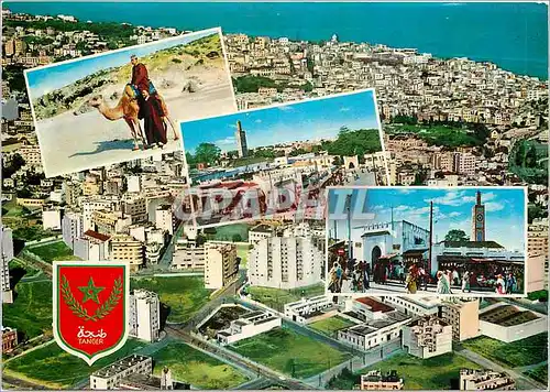 Cartes postales moderne Maroc Typique Groupe Folklorique