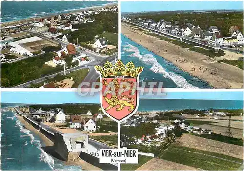 Cartes postales moderne Vec sur Mer Calvados Lion