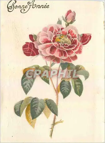 Cartes postales moderne Bonne Annee