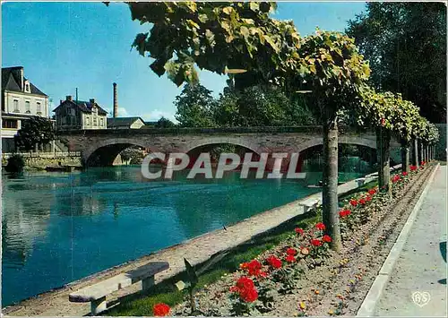 Cartes postales moderne Le Lude Sarthe Les bords du Loir