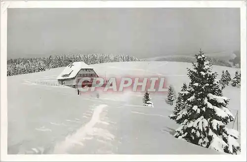Moderne Karte Todtnauberg Schwarzwald Jugendherberge