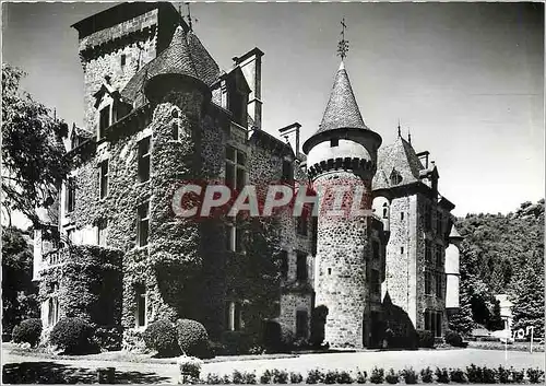 Cartes postales moderne Vallee de la Cere Cantal Le chateau de Pesteils a Polminhac