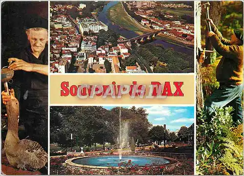Cartes postales moderne Souvenir de Dax Vue Generale le Pont sur l'Adour Le Jer d'eau du Jardin