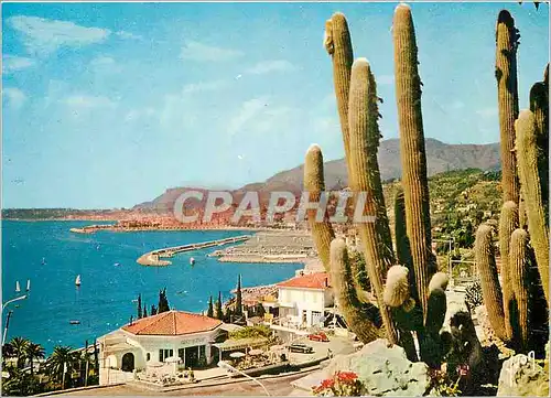 Cartes postales moderne Couleurs et Lumiere de France La Cote d'Azur Menton