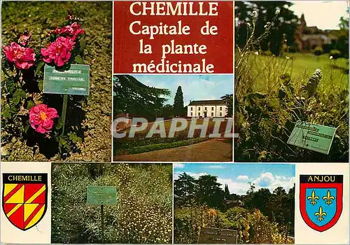 Cartes postales moderne Chemille Maine et Loire