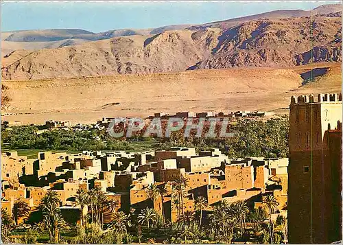 Cartes postales moderne Le Maroc Pittoresque Tinerhir