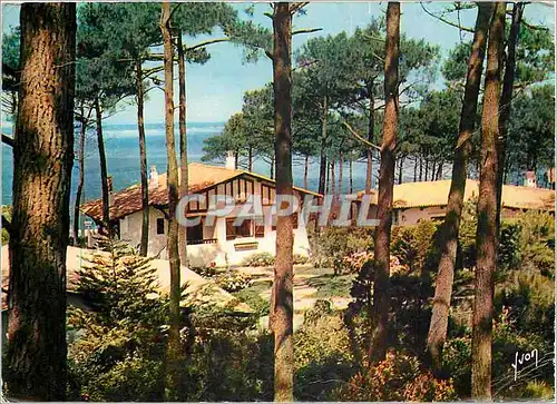 Cartes postales moderne Bassin d'Arcachon Gironde