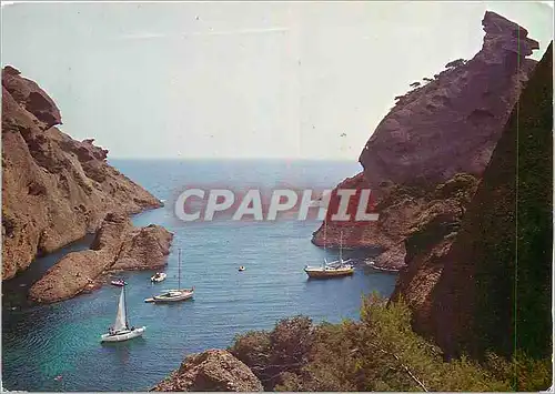 Cartes postales moderne La Cote Provencale La Ciotat
