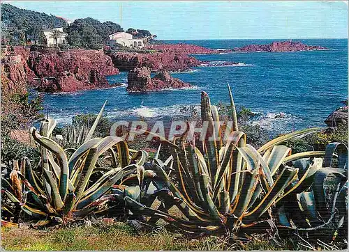 Moderne Karte Calanque des Roches Rouges