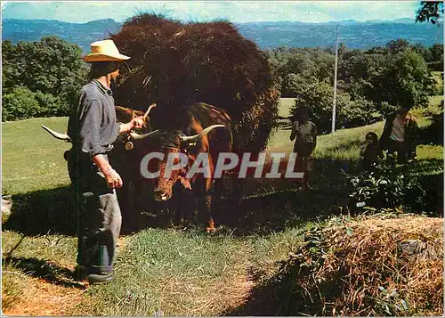 Moderne Karte En parcourant l'Auvergne La rentree des foins