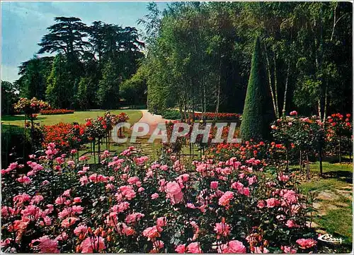 Cartes postales moderne Orleans Loiret Le Parc floral de la Source