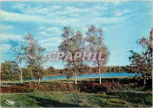 Cartes postales moderne Ain Paysage de la Dombes