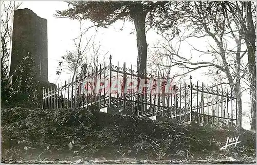 Cartes postales moderne Mouchamps Vendee Le Colombier