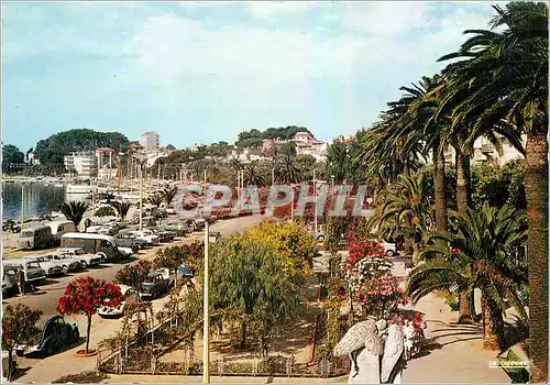 Cartes postales moderne Bandol Var Allee Jean Moulin