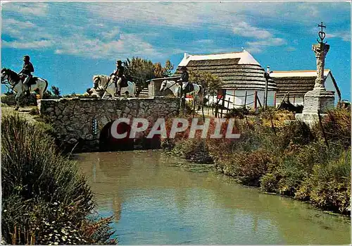 Moderne Karte En Camargue B du Rh Pont du Mort cabanes et la Croix des Gardians