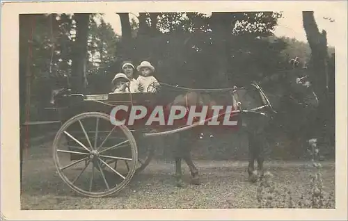 CARTE PHOTO Enfants Ane Mule