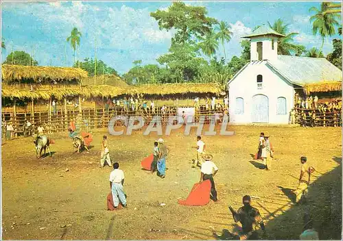 Cartes postales moderne Monteria Cordoba Colombia Corrida