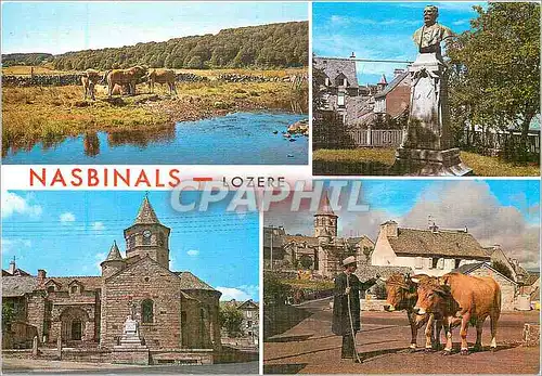 Cartes postales moderne Nasbinals Lozere