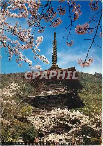 Cartes postales moderne Kiyomizu Temple Kyoto