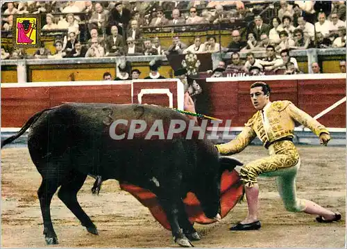 Cartes postales moderne Corrida