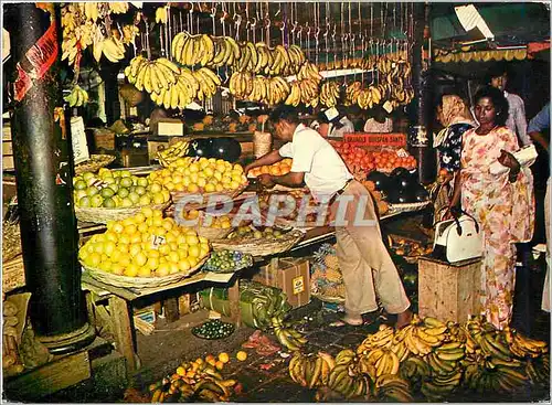 Cartes postales moderne Port Louis Le Marche