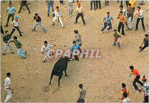 Cartes postales moderne Pamplona San Fermines Vaquillas en la Plaza de Toros Taureau