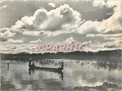 Cartes postales moderne Madagascar Paysage des Hauts Plateaux Sarin Tanin