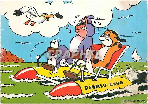 Cartes postales moderne Pedalo Club