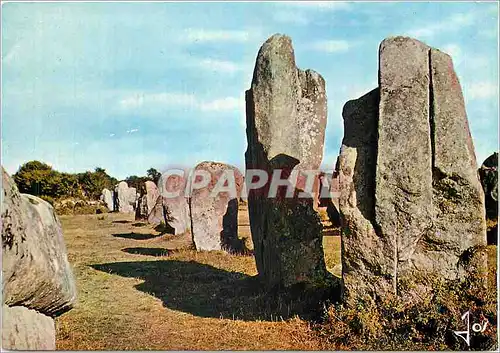 Cartes postales moderne Alignements Megalithiques dans les environs de Carnac