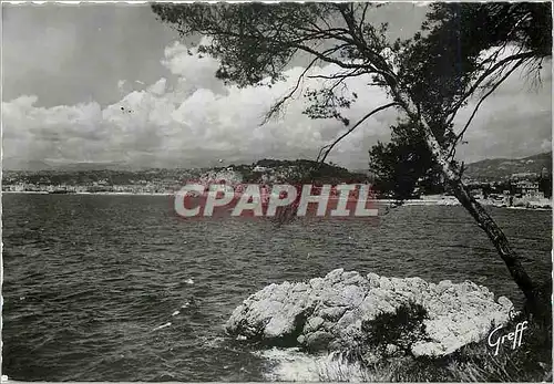 Cartes postales moderne Nice Alpes Maritimes Paysage mediterraneen a l'Entree du port