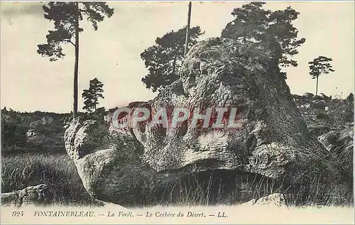 Ansichtskarte AK Fontainebleau La Foret Le Cerbere du Desert