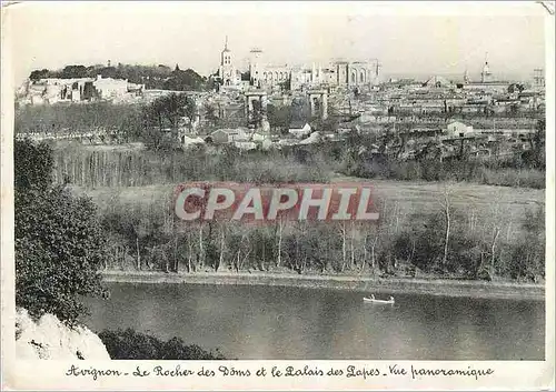 Cartes postales moderne Avignon Le Rocher des Doms et le Palais des Papes Vue Panoramique