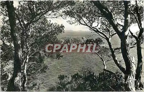 Cartes postales moderne Cote d'Azur Bandol L'Ile Rousse vue du Capelan