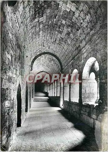 Cartes postales moderne Le Thoronet L'Abbaye Galerie Est du Cloitre