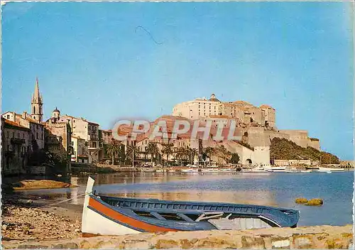 Cartes postales moderne Calvi Le port et la citadelle