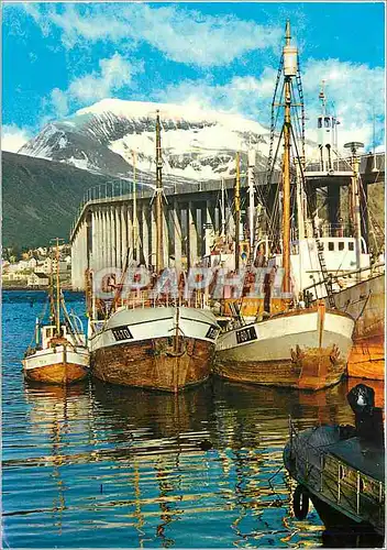 Cartes postales moderne Norway Tromso Hvalbater ved Tromsebrus