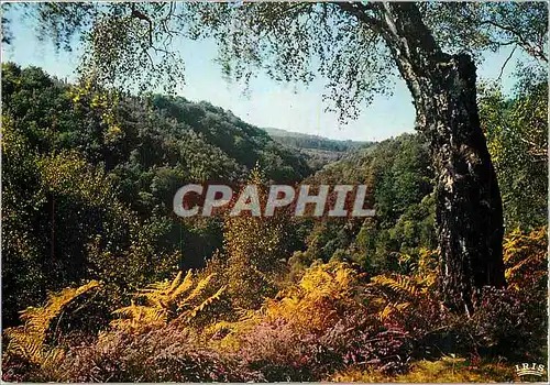 Cartes postales moderne Vallee du Taurion Aux environs de Vallieres Creuse