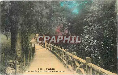 Cartes postales Paris Une Allee aux Buttes Chaumont