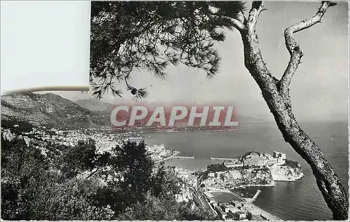 Cartes postales moderne Principaute de Monaco Vue Generale