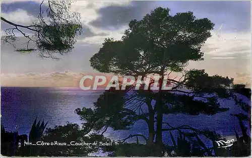 Cartes postales moderne Cote d'Azur Coucher de Soleil