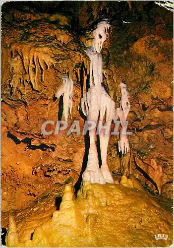 Moderne Karte La cote d'azur les grottes de saint cezaire le squelette