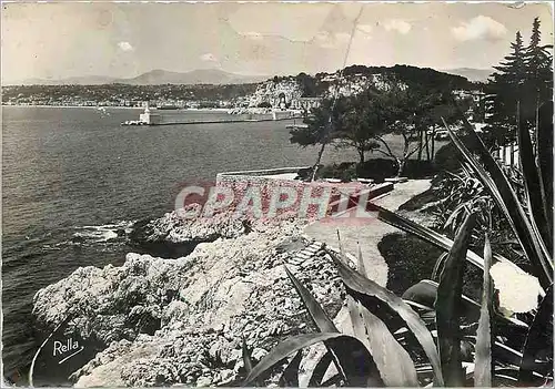 Cartes postales moderne La cote d'azur Nice La jetee depuis le jardin Theodore de Banvielle