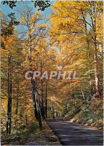Moderne Karte Sur une route des Alpes en automne