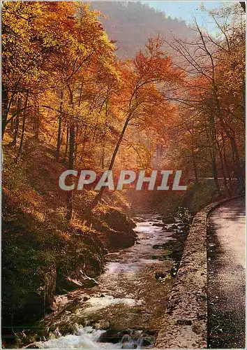 Cartes postales moderne Dans les Alpes Teinte d'automne et brune matinale sur le torrent