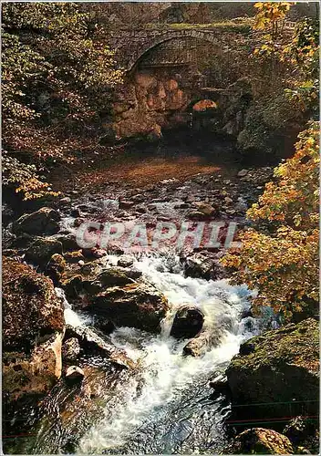 Cartes postales moderne Pittoresque Route des Alpes automne un vieux pont moussu enjambe le torrent