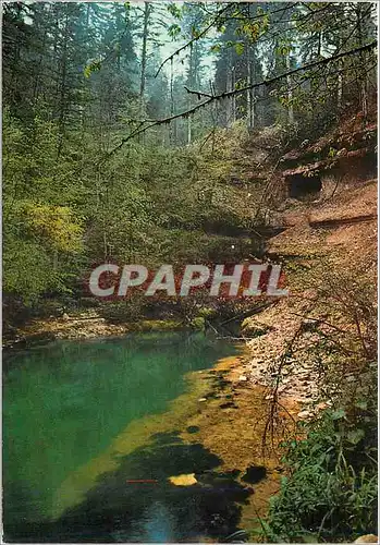 Cartes postales moderne Paysages du Jura les Sources de l'Ain