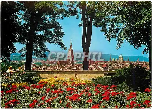 Cartes postales moderne Bern Le jardin des Roses